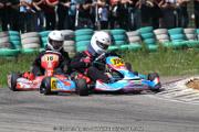 20110501_ales_agnus (3162)